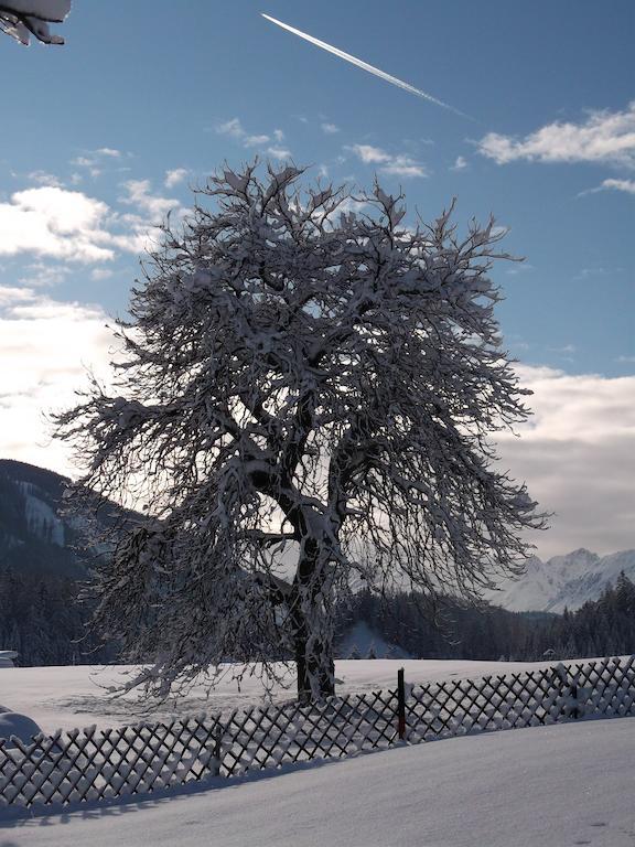 Anno Tyrol Villa Biberwier Luaran gambar